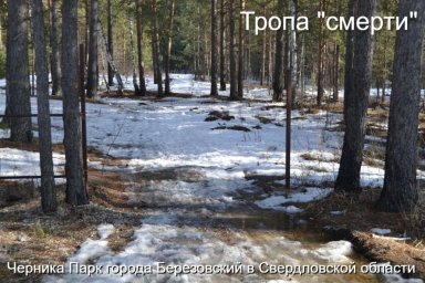 Смертность от наркотиков в Березовском шокирует власти не замечают трагедию Смертность от наркотиков в Березовском шокирует власти не замечают трагедию